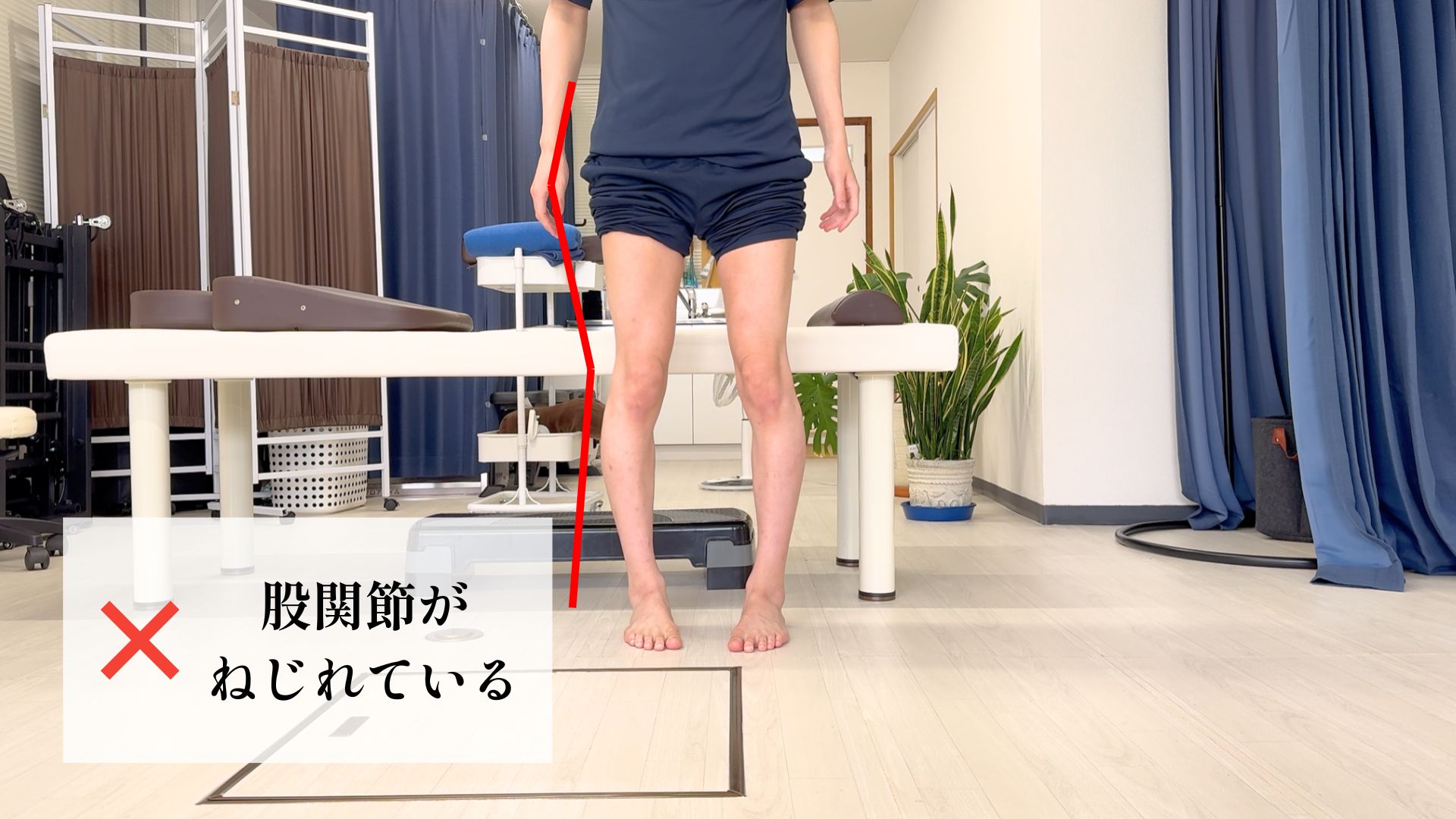 800×450