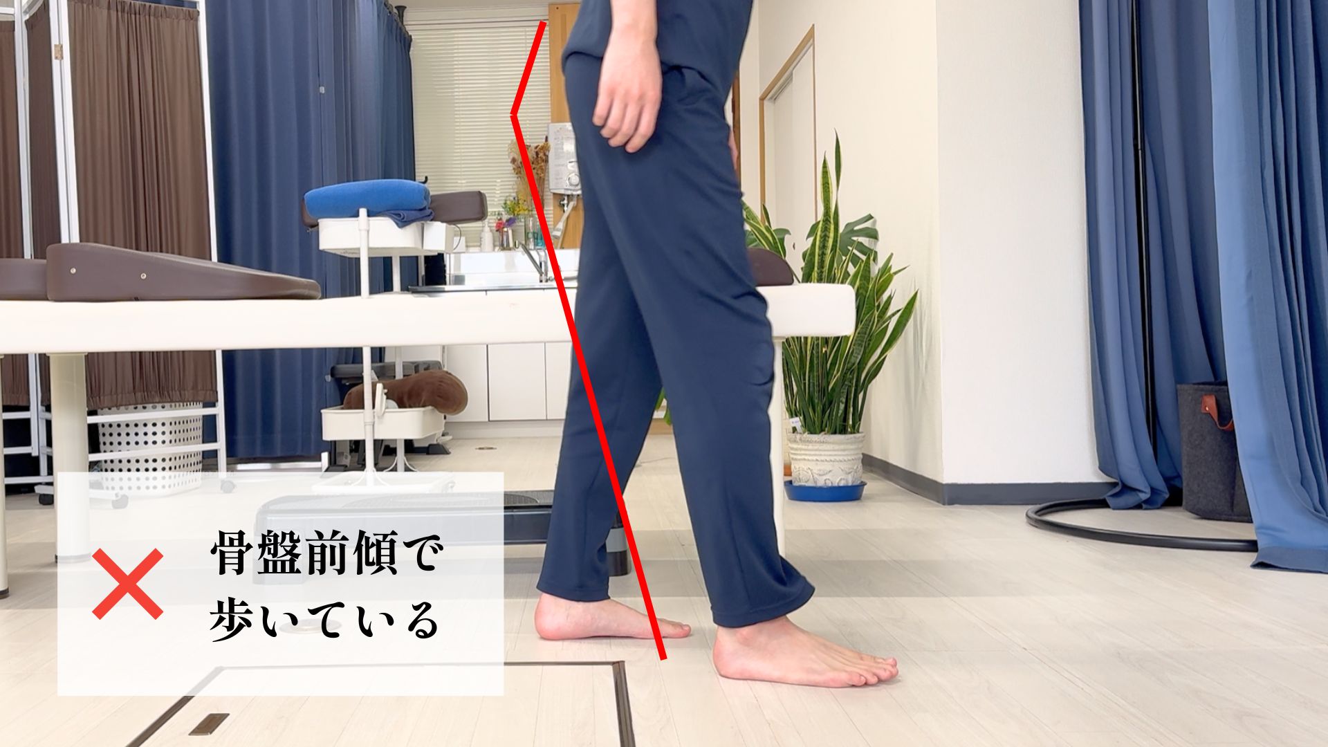 800×450